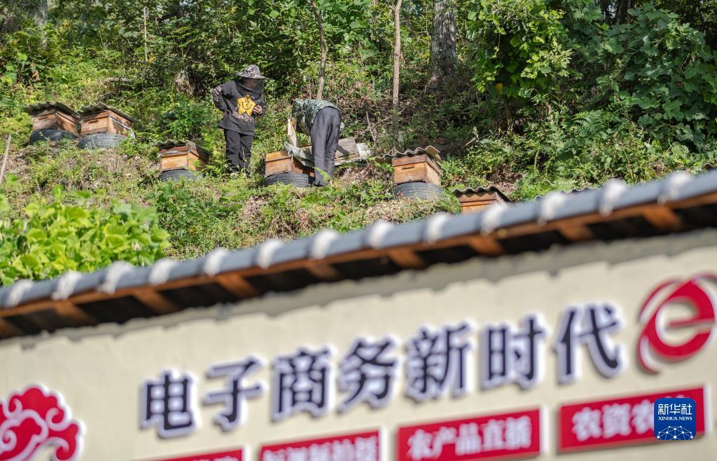 以小博大白菜网