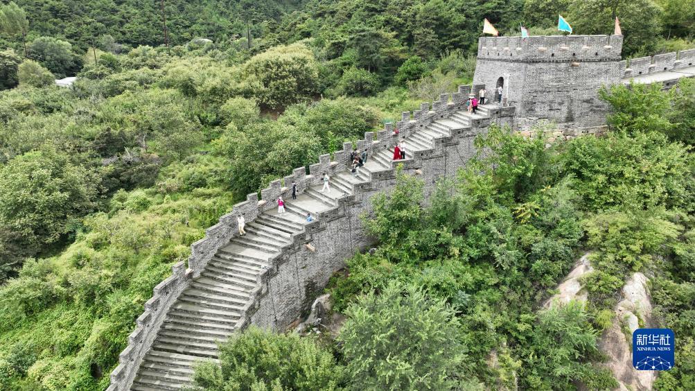 红宝石线路检测手机版